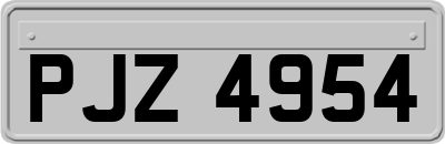 PJZ4954