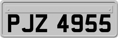 PJZ4955