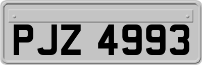 PJZ4993