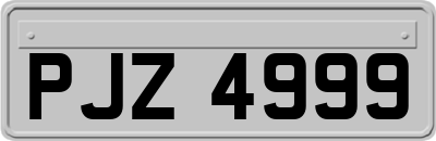 PJZ4999
