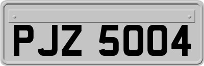 PJZ5004