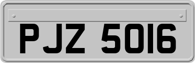 PJZ5016