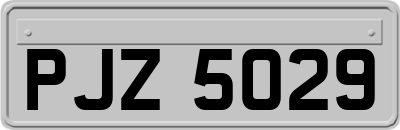PJZ5029