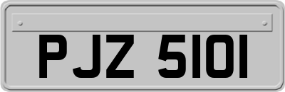 PJZ5101
