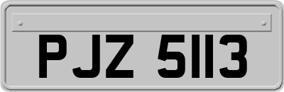 PJZ5113