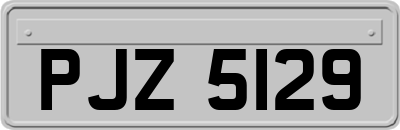 PJZ5129