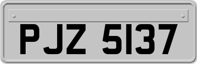 PJZ5137