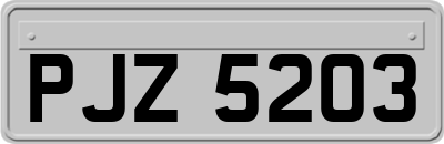 PJZ5203