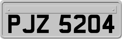 PJZ5204