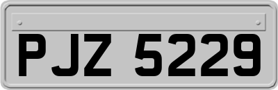 PJZ5229