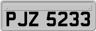 PJZ5233