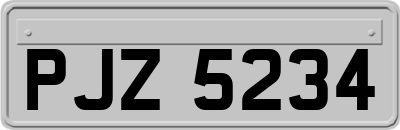 PJZ5234
