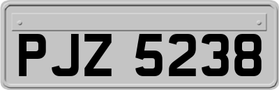 PJZ5238