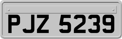 PJZ5239