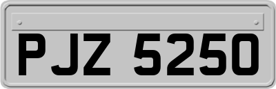 PJZ5250