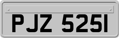 PJZ5251
