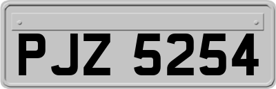PJZ5254