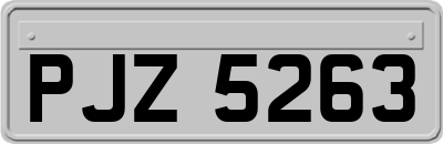 PJZ5263