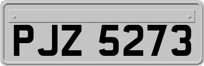 PJZ5273