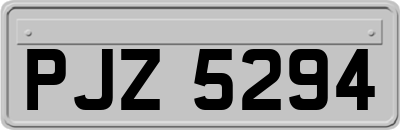 PJZ5294