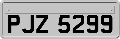 PJZ5299