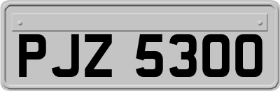 PJZ5300