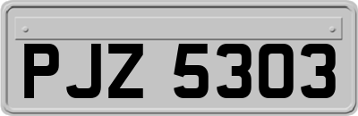 PJZ5303