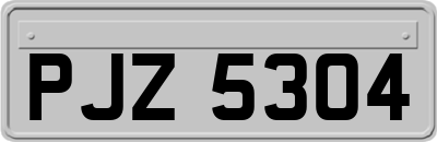 PJZ5304