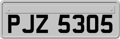 PJZ5305
