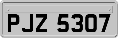 PJZ5307