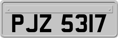 PJZ5317