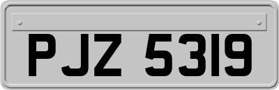 PJZ5319