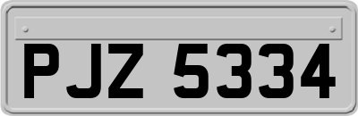 PJZ5334