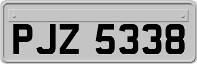 PJZ5338