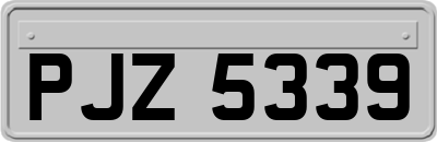 PJZ5339