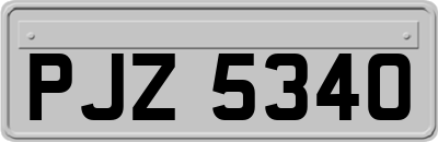 PJZ5340
