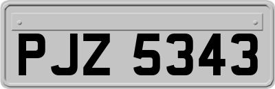 PJZ5343