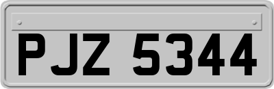 PJZ5344