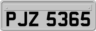 PJZ5365