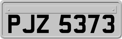PJZ5373
