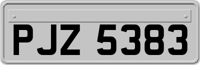 PJZ5383
