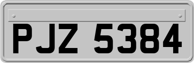 PJZ5384