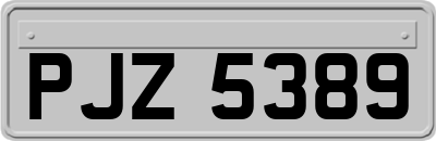 PJZ5389