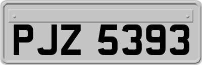 PJZ5393