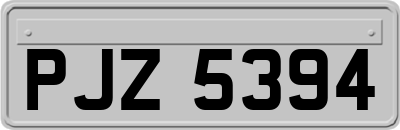 PJZ5394