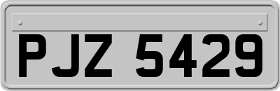 PJZ5429