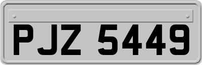 PJZ5449