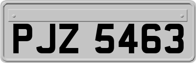 PJZ5463