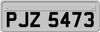 PJZ5473