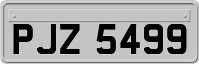 PJZ5499